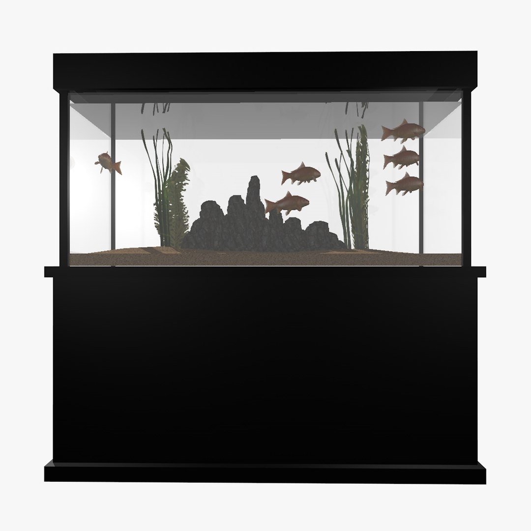 fresh aquarium goldfishes catfish 3d c4d https://p.turbosquid.com/ts-thumb/vW/6WYxza/wUN2G3dj/catfishandgoldfishesaquariumanimation5/jpg/1461796170/1920x1080/fit_q87/9759bf0b4702505e7bafcc58efafd2f5c0ae1b1a/catfishandgoldfishesaquariumanimation5.jpg