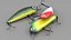 crankbait