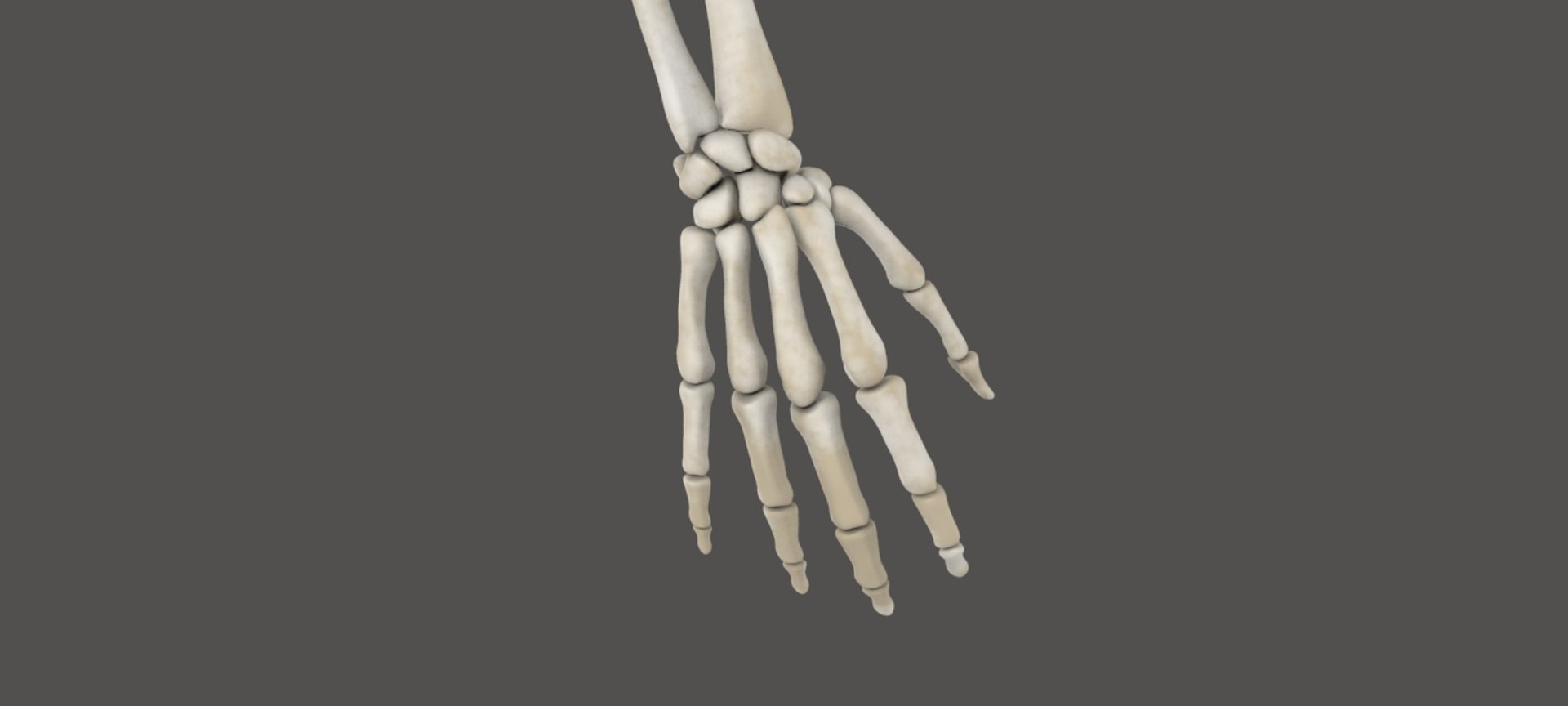 arm 3D model https://p.turbosquid.com/ts-thumb/vW/8PKsWG/IpTMU1He/untitled.82/jpg/1519335636/1920x1080/fit_q87/c608284a72887f19d33aae6bcfb7bf85cfca6f8d/untitled.82.jpg