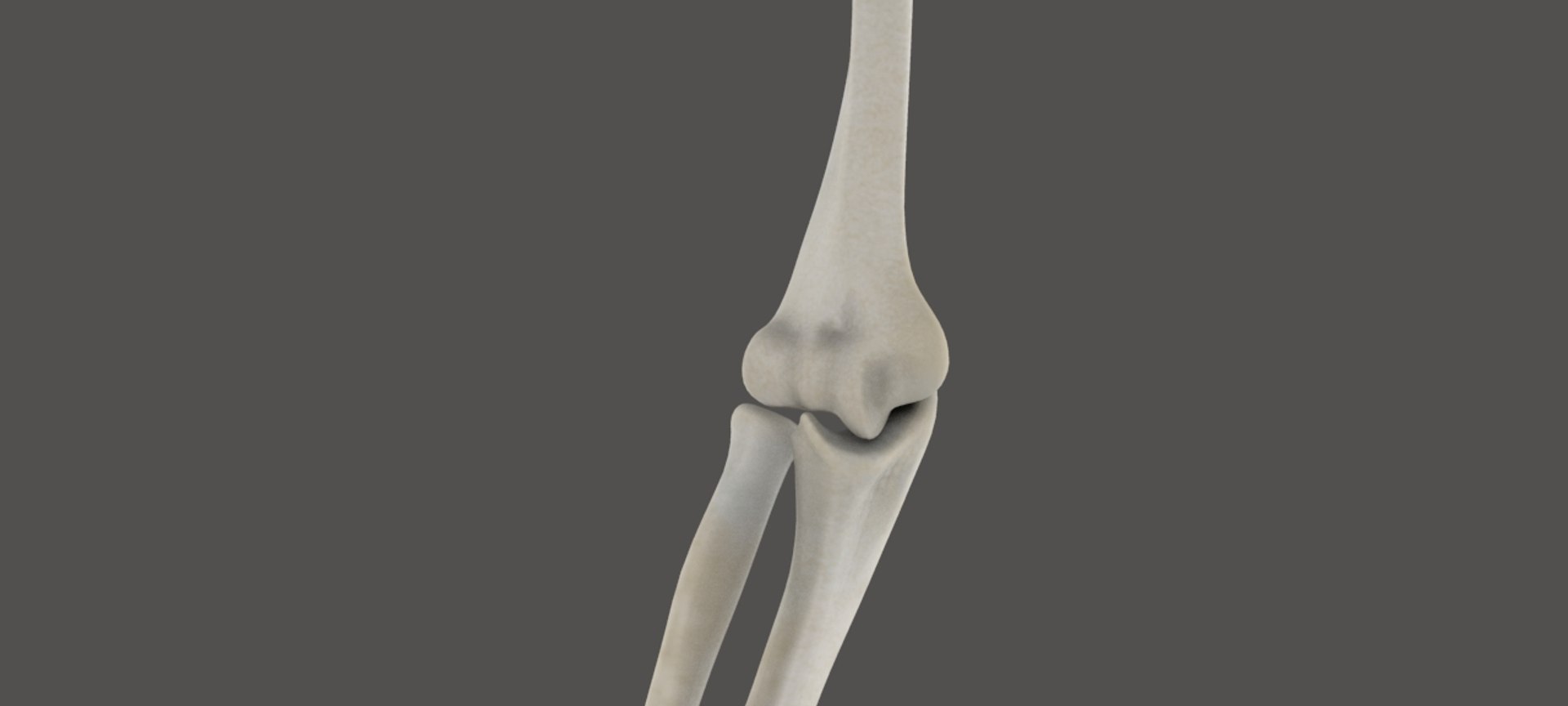 arm 3D model https://p.turbosquid.com/ts-thumb/vW/8PKsWG/ZyEwAhXf/untitled.83/jpg/1519335636/1920x1080/fit_q87/015b095b2cbd4c2fe9706d8615feebebe62f2f39/untitled.83.jpg