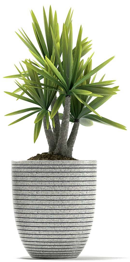 plants 88 3d model https://p.turbosquid.com/ts-thumb/vW/GJ5lsG/Y0ph3zpL/p87b/jpg/1488896722/1920x1080/fit_q87/caf327b8679616d5ed43007fdc35738c9d80eb3e/p87b.jpg