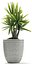plant 88