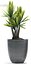 plant 88