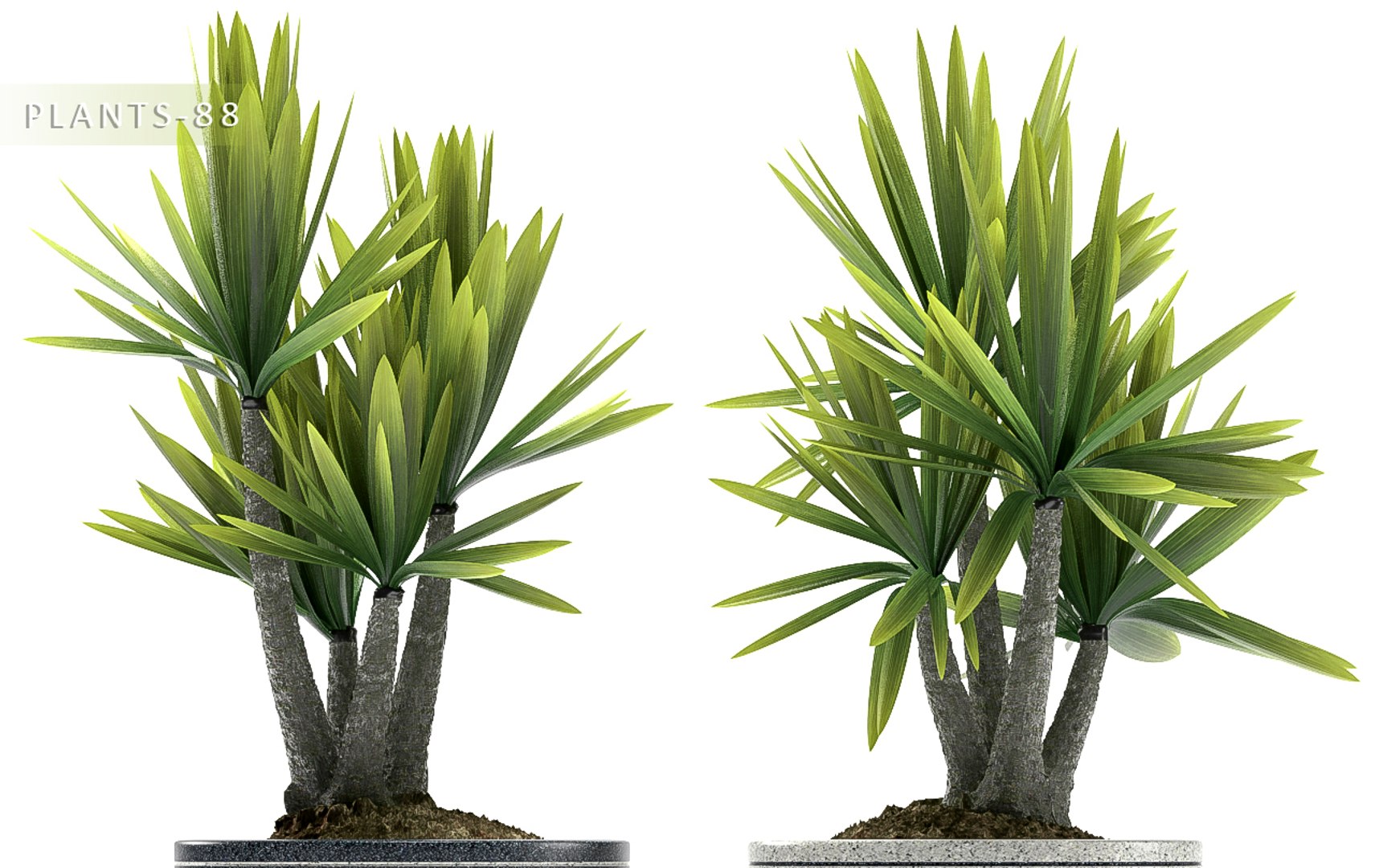 plants 88 3d model https://p.turbosquid.com/ts-thumb/vW/GJ5lsG/kb3aUr2r/p87c/jpg/1488896722/1920x1080/fit_q87/8a4ad6b51275431d6d5462c427f09b4c3acf95a5/p87c.jpg