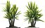 plant 88