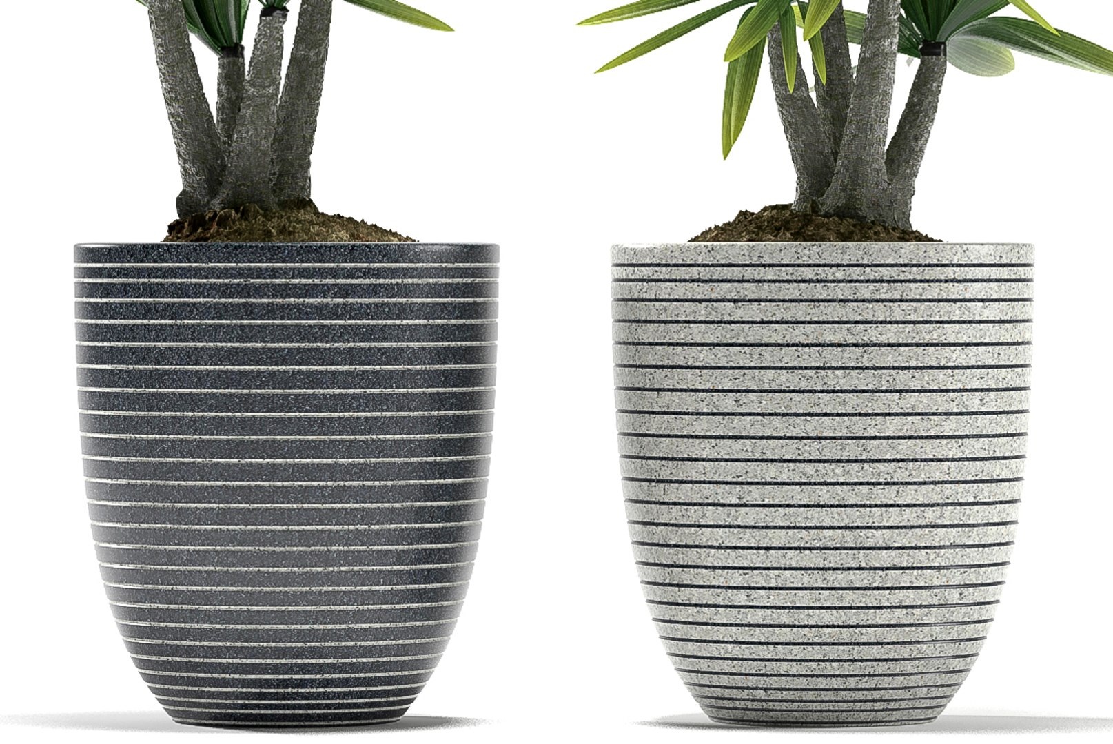 plants 88 3d model https://p.turbosquid.com/ts-thumb/vW/GJ5lsG/mXsBjjdq/p87d/jpg/1488896722/1920x1080/fit_q87/2976c1458ca3fef2e3943d286267f21a8541f5af/p87d.jpg