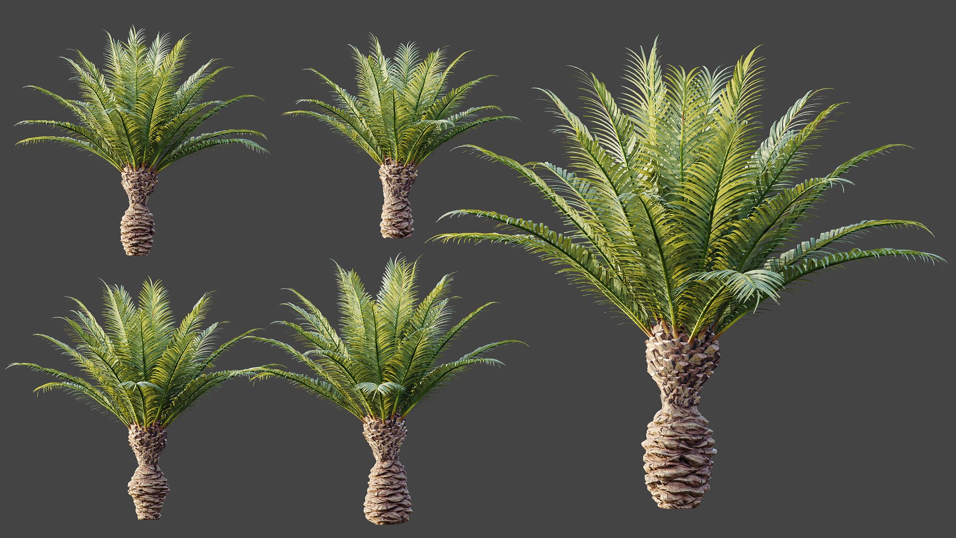 3D AV Plant Phoenix Canariensis Palm Tree 03 https://p.turbosquid.com/ts-thumb/vW/IkFZNz/R7/05/png/1790834918/1920x1080/fit_q87/f746c7520007064804cee657ea2a597e3870bea5/05.jpg