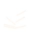 AV Plant Phoenix Canariensis Palm Tree 03