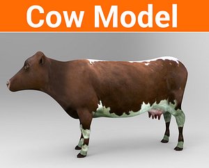 cow cattle 3D model