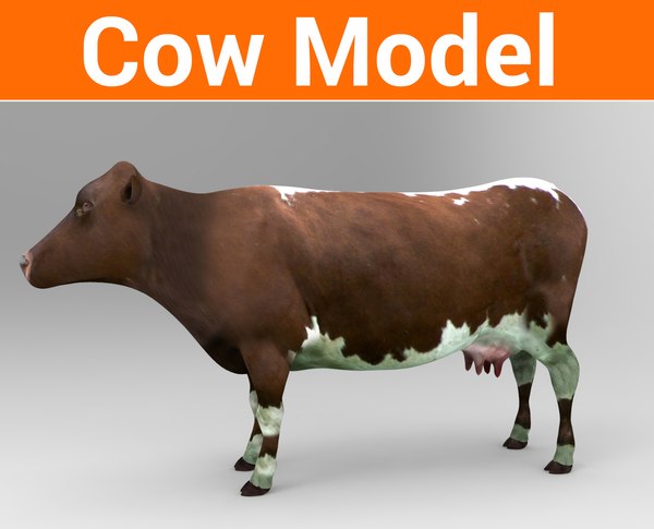 cow.618.jpg