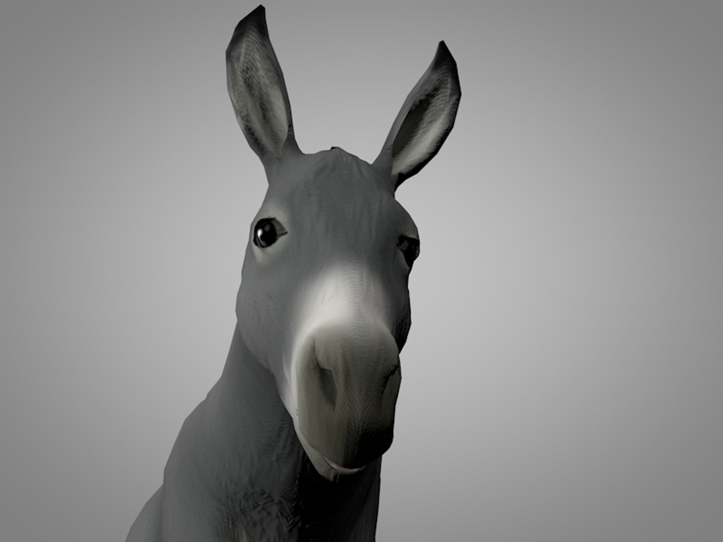Donkey Model - TurboSquid 1183864