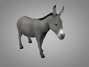 donkey model