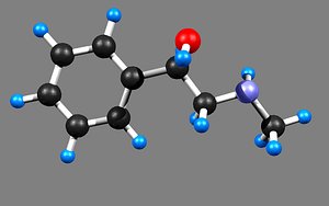 adrenaline model