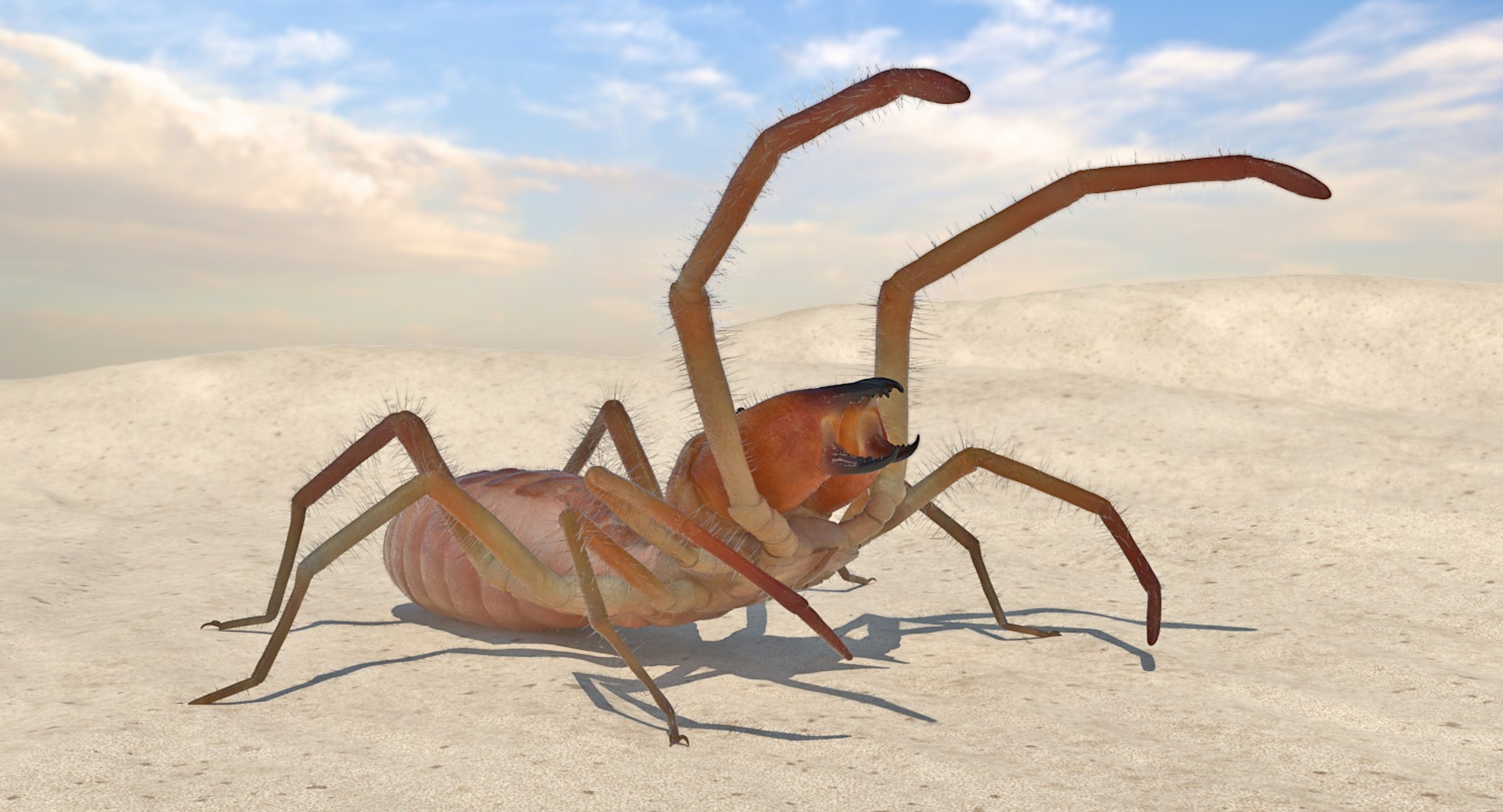3D Wind Scorpion Spider Fur - TurboSquid 1195506