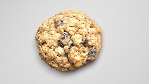 3D Oat Flakes Round Cracker model