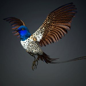 Pheasant Bird-B2 3D model