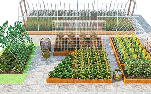 3D Vegetable garden