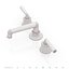 Waterworks Henry Faucet with Lever Handles