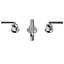 Waterworks Henry Faucet with Lever Handles