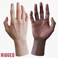 Realistic Human Hand - Rigged