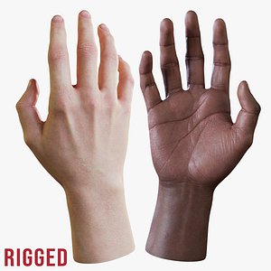 Realistic Human Hand - Rigged