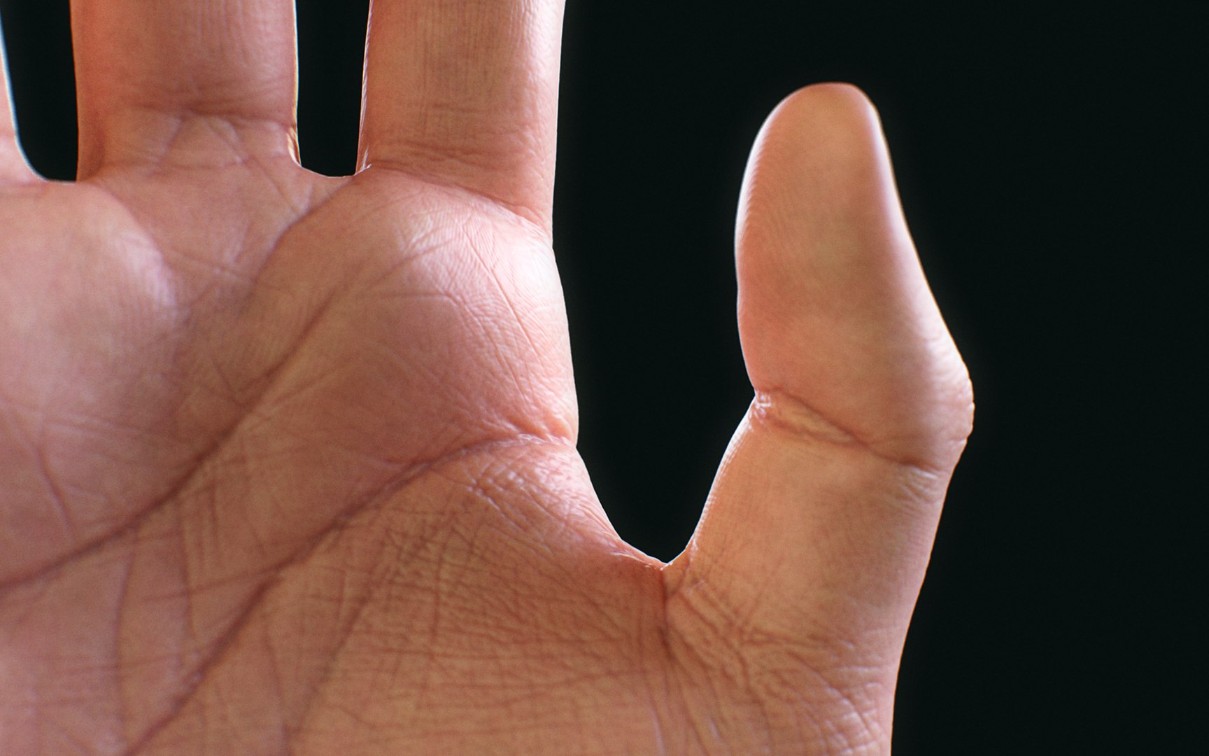 Realistic Human Hand - Rigged 3D model https://p.turbosquid.com/ts-thumb/vX/4qVeEH/ZD/08/png/1689046193/1920x1080/fit_q87/4c241d8471b6d119e4ae2891a12b5c1d1237ae8b/08.jpg