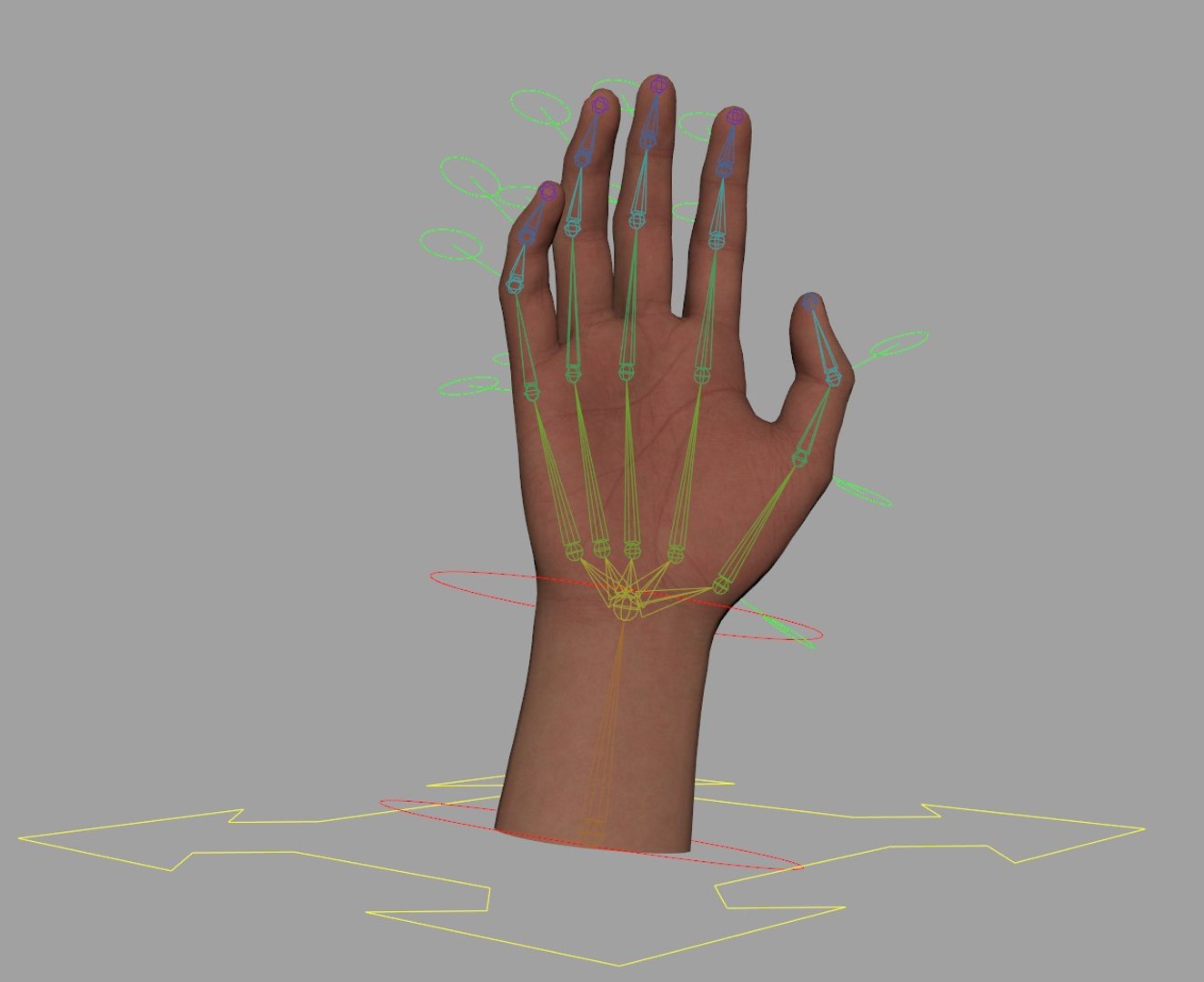 Realistic Human Hand - Rigged 3D Model - TurboSquid 2096513