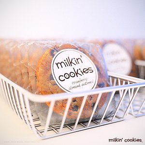 milkin cookies 3d max