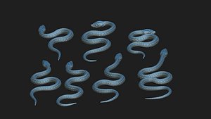 several snakes