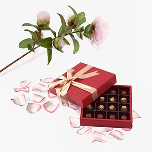 Camellia Flower with Chocolate Box Collection model