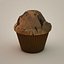 Muffin with Backing Form