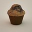 Muffin with Backing Form