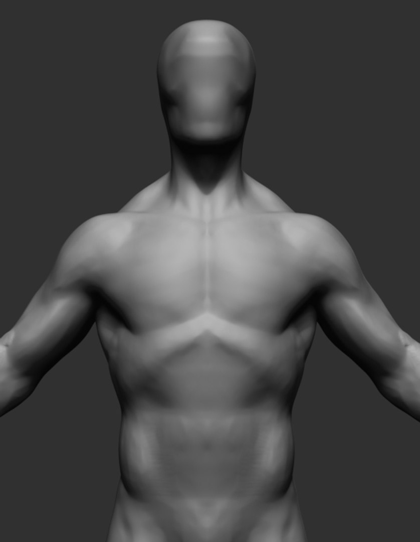 Free Anatomy Ztl Zbrush 3D Model - TurboSquid 1259755