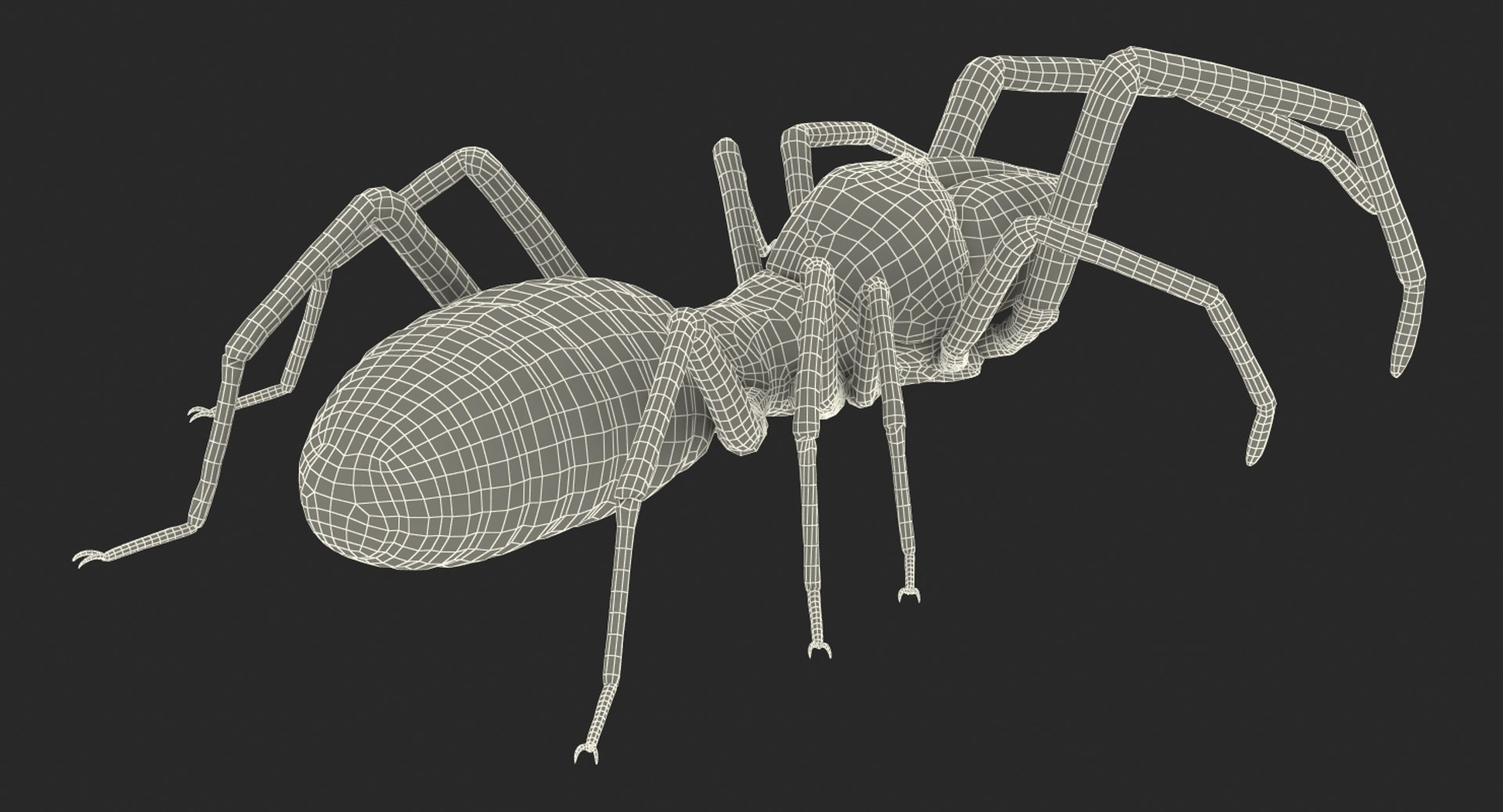 3D sun spider fur model https://p.turbosquid.com/ts-thumb/vX/VaNSht/1p6tbhoE/sunspiderwithfurvray3dmodel019/jpg/1503632644/1920x1080/fit_q87/e28434de5a424944bb4d1a5f26777866d1664801/sunspiderwithfurvray3dmodel019.jpg
