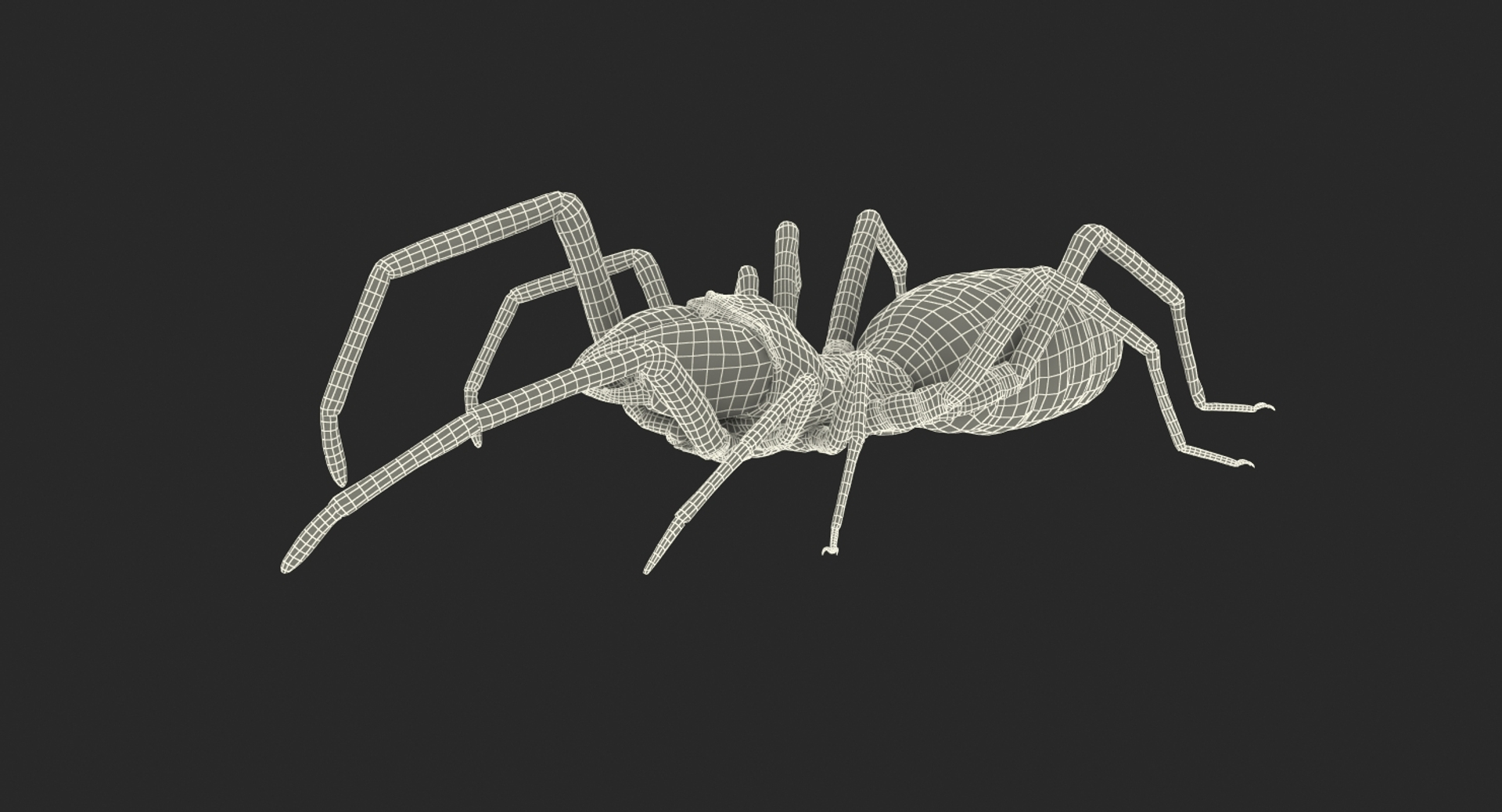 3D sun spider fur model https://p.turbosquid.com/ts-thumb/vX/VaNSht/VlFHAnGg/sun_spider_with_fur_361/jpg/1503656751/1920x1080/turn_fit_q99/80f736c7399782bf29280289945f520568b64ab6/sun_spider_with_fur_361-1.jpg