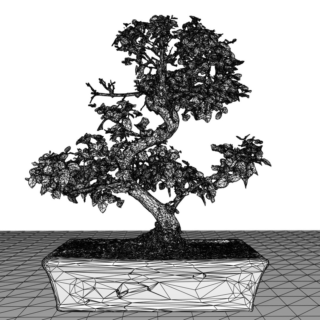 3D Bonsai Tree 6 - TurboSquid 1154316