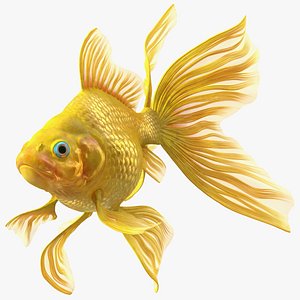 3D Goldfish Swimming Pose