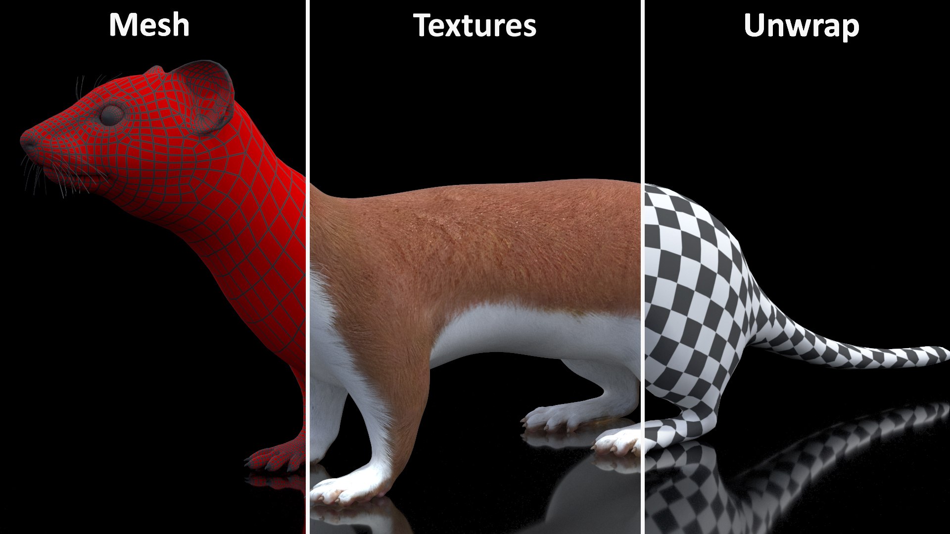 Stoat Brown 3D model https://p.turbosquid.com/ts-thumb/vY/E8OnLT/aI/stoatbrown3dsmodel018/jpg/1711941043/1920x1080/fit_q87/1dbad31e54ba192e79c944000fa1bd7adedfc0e4/stoatbrown3dsmodel018.jpg