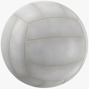 Volleyball Ball 05 model
