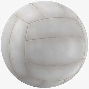 Volleyball Ball 05