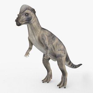 3D model pachycephalosaurus blender v-multi