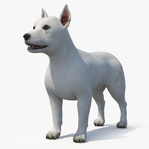 West Highland White Terrier Standing Pose 3D model