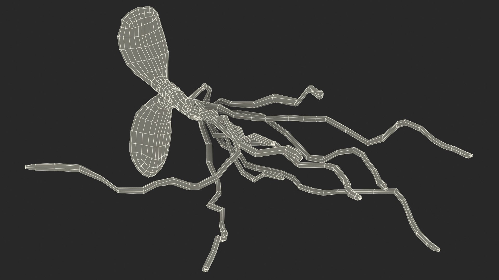 sprout roots set 3D https://p.turbosquid.com/ts-thumb/vY/amIOsM/2b02nX7E/sproutrootsset3dsmodel024/jpg/1587511116/1920x1080/fit_q87/ed2e88eadbf33b922fd43707f7412c1b7e311a57/sproutrootsset3dsmodel024.jpg