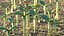 Sprout Roots Set