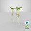Sprout Roots Set