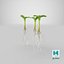 Sprout Roots Set