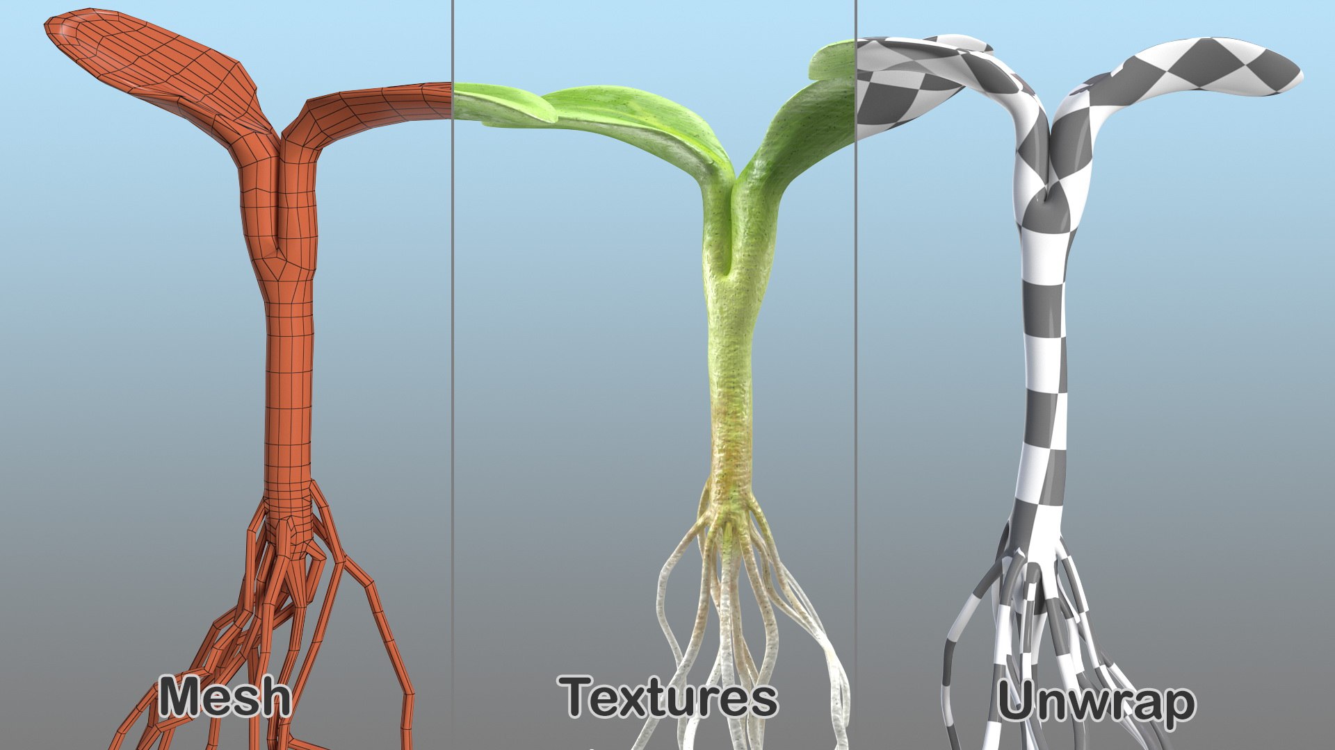 sprout roots set 3D https://p.turbosquid.com/ts-thumb/vY/amIOsM/9Jdve3tR/sproutrootsset3dsmodel013/jpg/1587511074/1920x1080/fit_q87/6d36bdafc4091bc7612bb08ee7b30d7acccf6275/sproutrootsset3dsmodel013.jpg