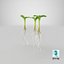 Sprout Roots Set