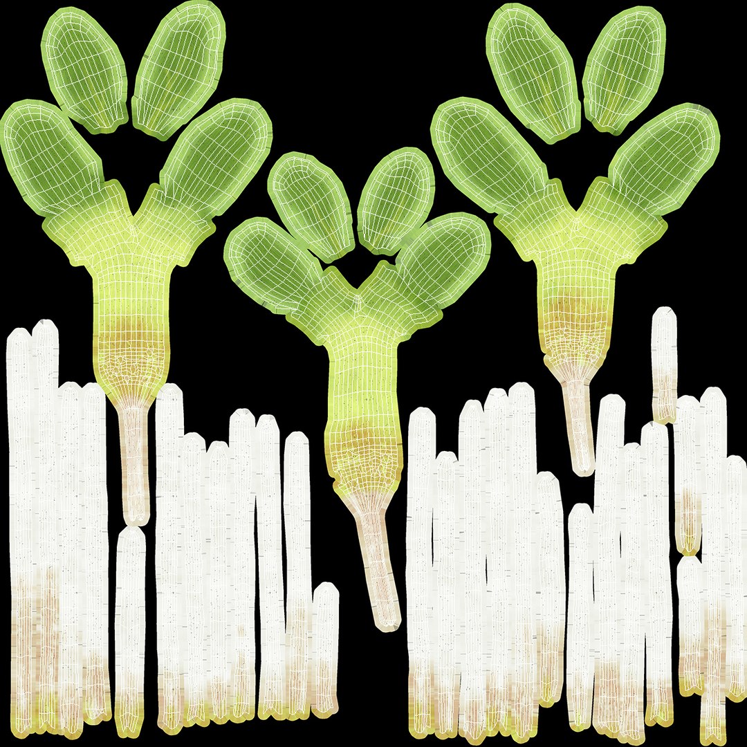 sprout roots set 3D https://p.turbosquid.com/ts-thumb/vY/amIOsM/WAX5tNpP/sproutrootsset3dsmodel016/jpg/1587511086/1920x1080/fit_q87/d1c3f54a600e67d5376717a9dc2e27cff858f12a/sproutrootsset3dsmodel016.jpg