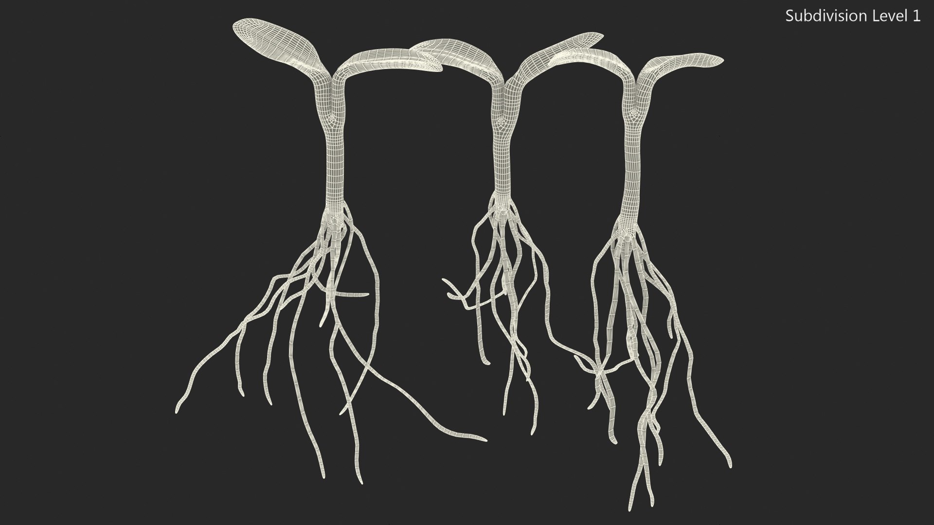 sprout roots set 3D https://p.turbosquid.com/ts-thumb/vY/amIOsM/ZMm7KQkK/sproutrootsset3dsmodel015/jpg/1587511082/1920x1080/fit_q87/eb7db7b344b52d4a682dc7142dde68f6194f2dd3/sproutrootsset3dsmodel015.jpg